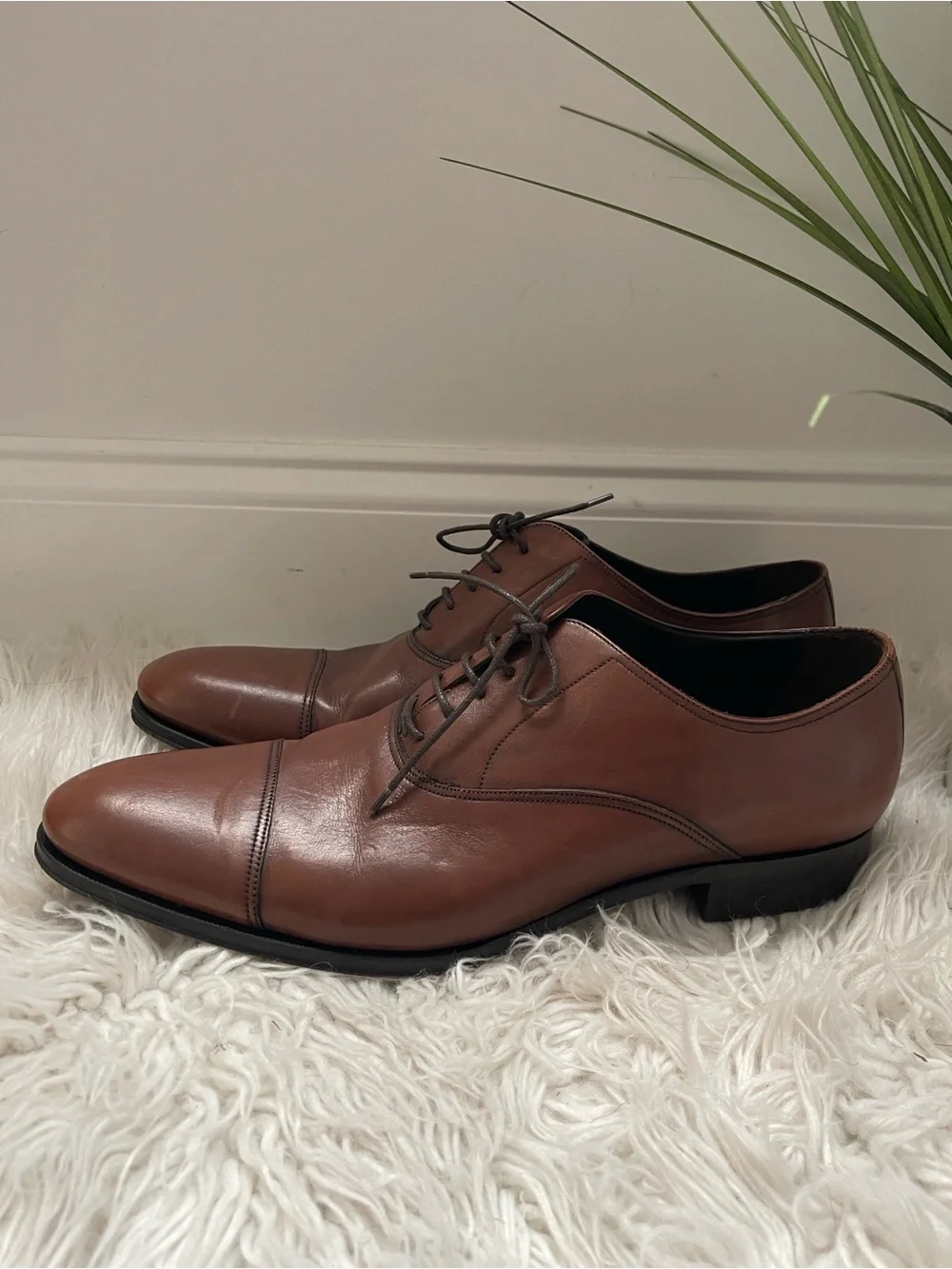 To Boot New York Men's Brandon II Cap Toe Oxford Shoes in Cuoio Luc. Ant Sz 11.5